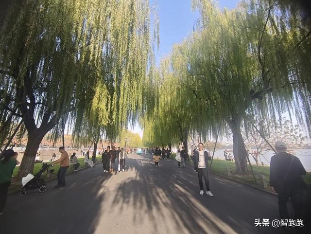 2025 杭州西湖 City Walk 留下足迹