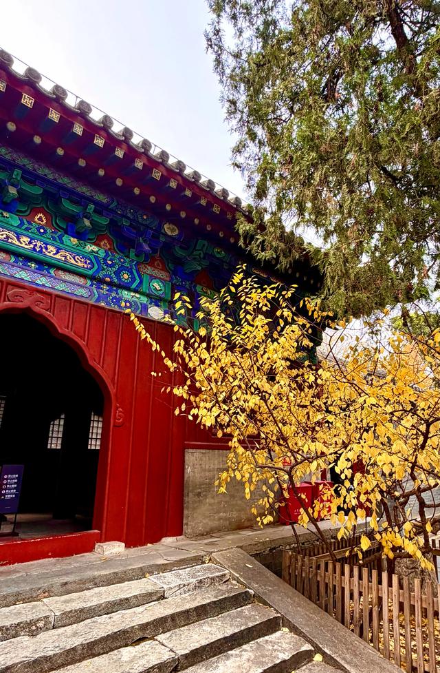 甘撒金缕苒秋寰