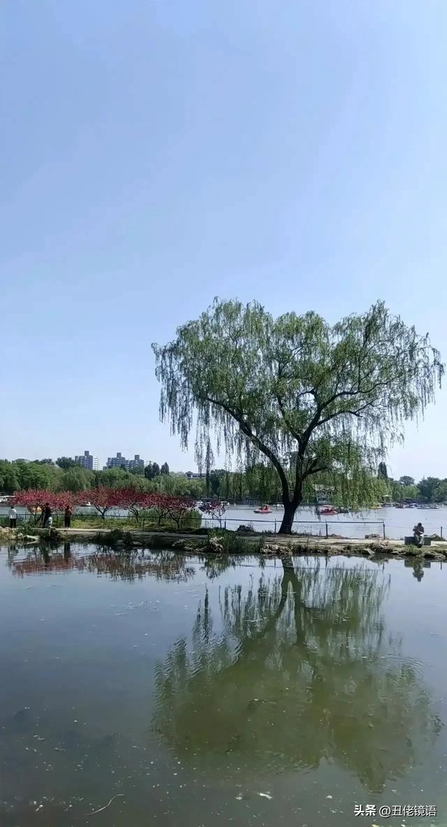 自拍影集（30）紫竹院公园风景绿水轻舟·上