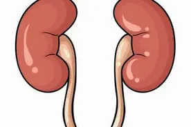 肾有病，牙先知！3个中成药，强肾固齿，补足肾中精、血、阴、阳图片