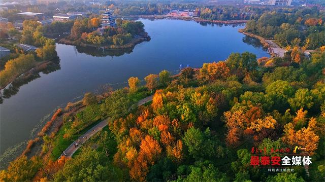 秋日宁阳，定格金色浪漫