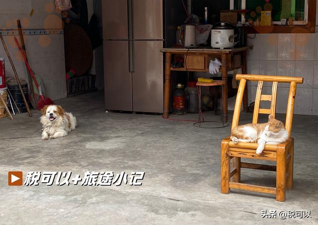 青堤古镇 ：老街旧屋，留守远去的光阴（青堤小记①）