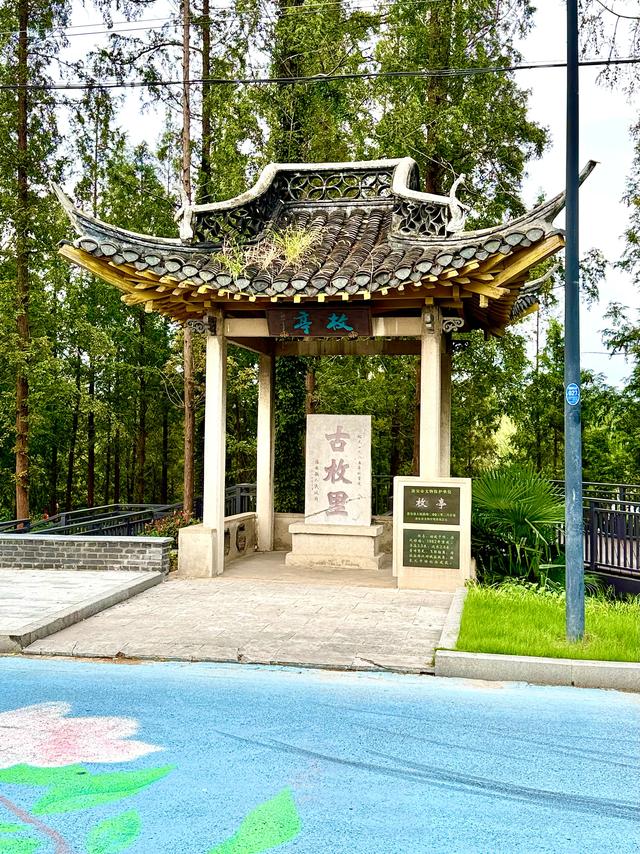 风吹河下(大运河系列·淮安河下古镇)