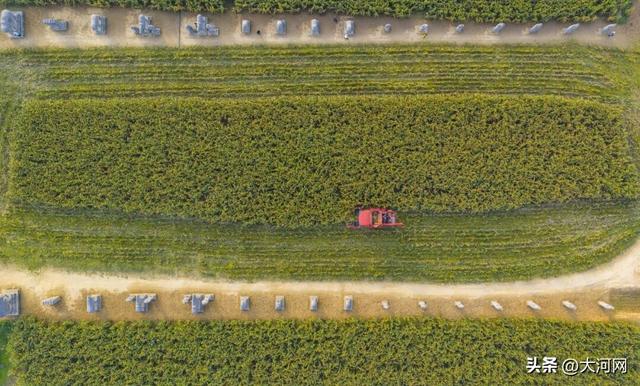 来这里，解锁千年的“限定秋色”！