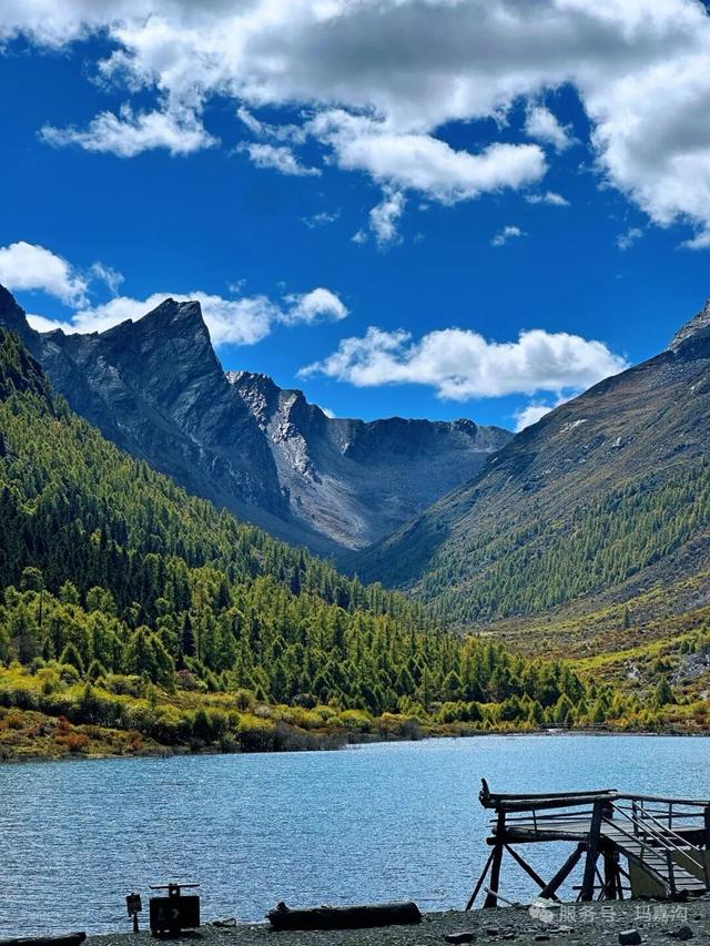 接下来，小金是这样的~