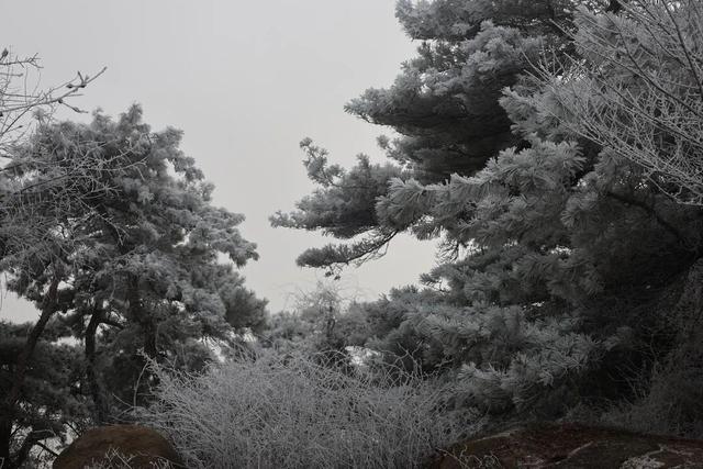 接下来的淄博，「冬日隐藏副本」藏不住了！