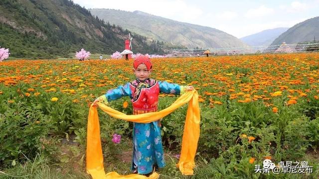 邂逅美丽大峪沟