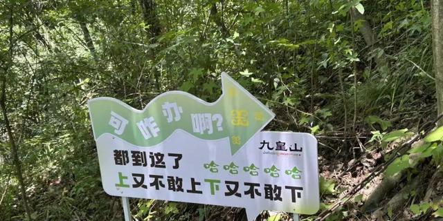 游客爬嵩山遇到魔性“加油”牌：爬不动了吧，哈哈哈哈哈……，瞬间来劲儿爬到山顶