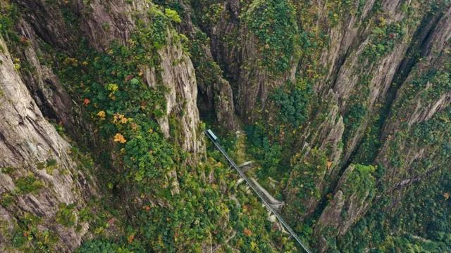 紧急播报：黄山秋色已达峰值，100%颜值在线，速来！| 皖美冬日 | 第十五届安徽国际文化旅游节