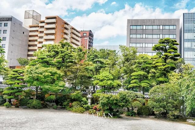 九州之旅从福冈开始!这里不只有拉面,还有精彩的山笠祭!