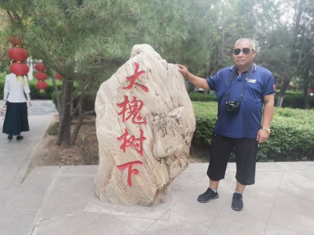 古槐屹立岁月悠、枝繁叶茂诉千秋