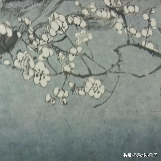 躺下来看风景的体验，你有过没有？