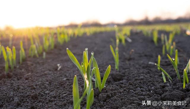 “白天立冬雪堵门，晚上立冬暖烘烘”，今年立冬在哪？早知早准备