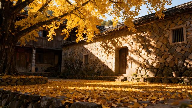 粉黛染霞闽水秋，银杏铺金古厝游 —— 福州秋色里的时空交响