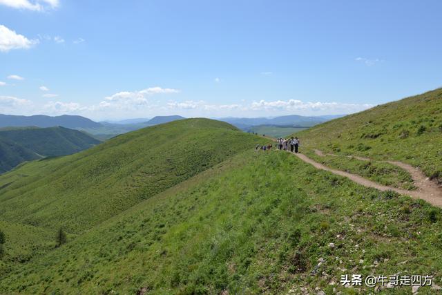 河北麻田岭（上）：绿野铺毡接云影、风轮伴路探山魂