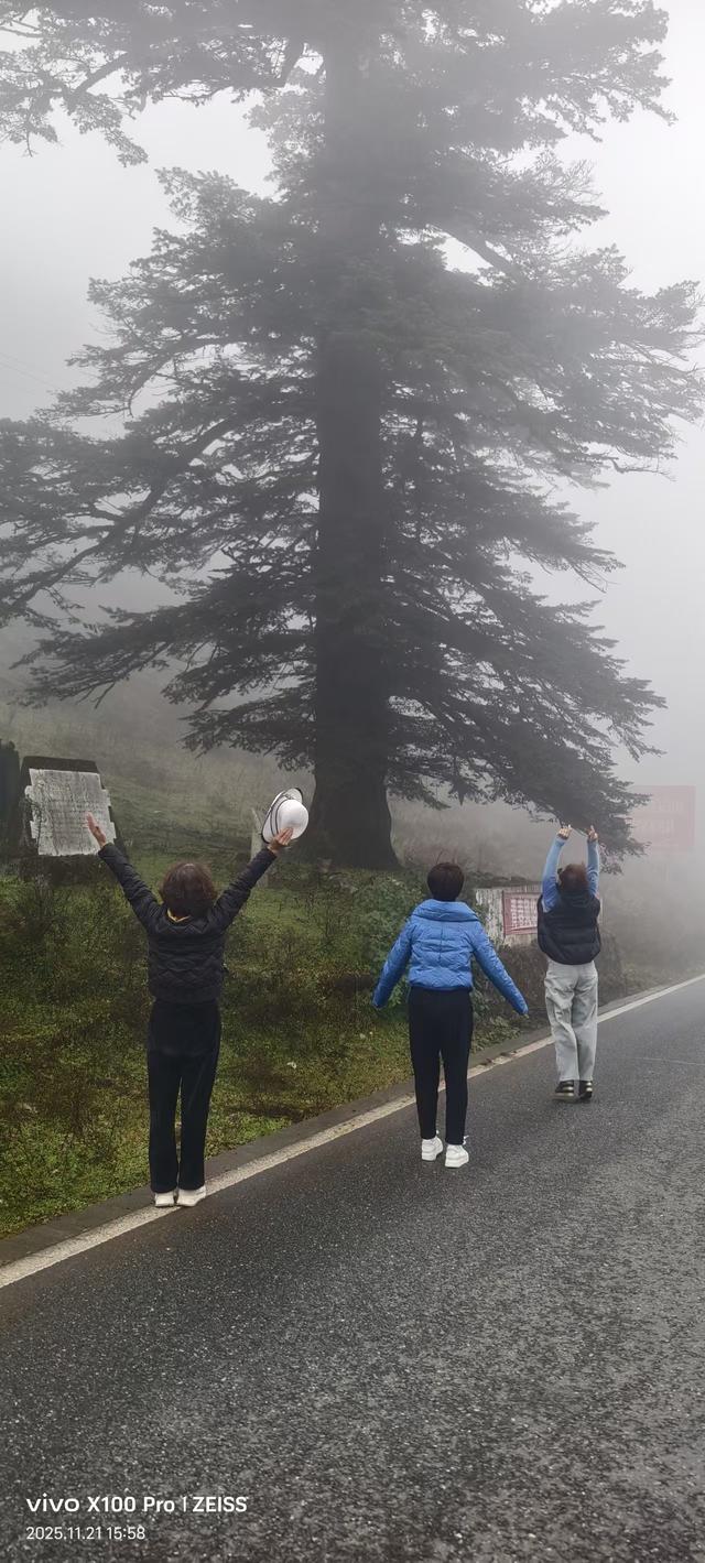 难忘的自驾游旅行，渔门镇邂逅异国风情，格萨拉遭遇大雾“锁景”