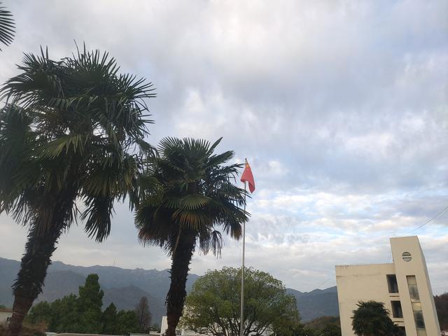 站在同一个地方，想看到不一样的风景	，那就请抬头——