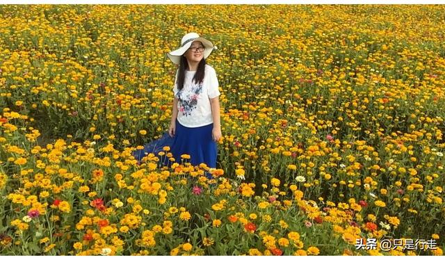 2025年广西百色、靖西自驾游