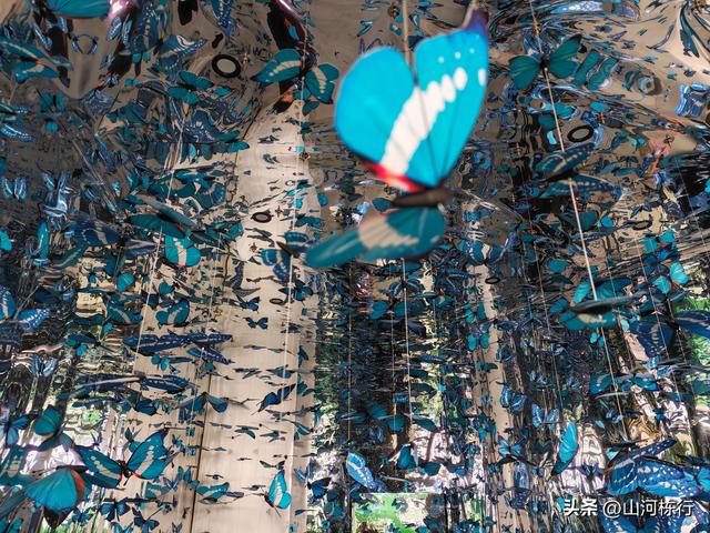 成都人的周末“偷闲”：上午三道堰喝茶，下午蝴蝶村遛娃