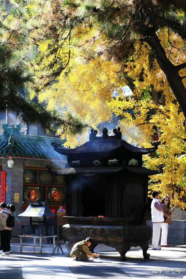 在八大处，寻到了北京最美的秋