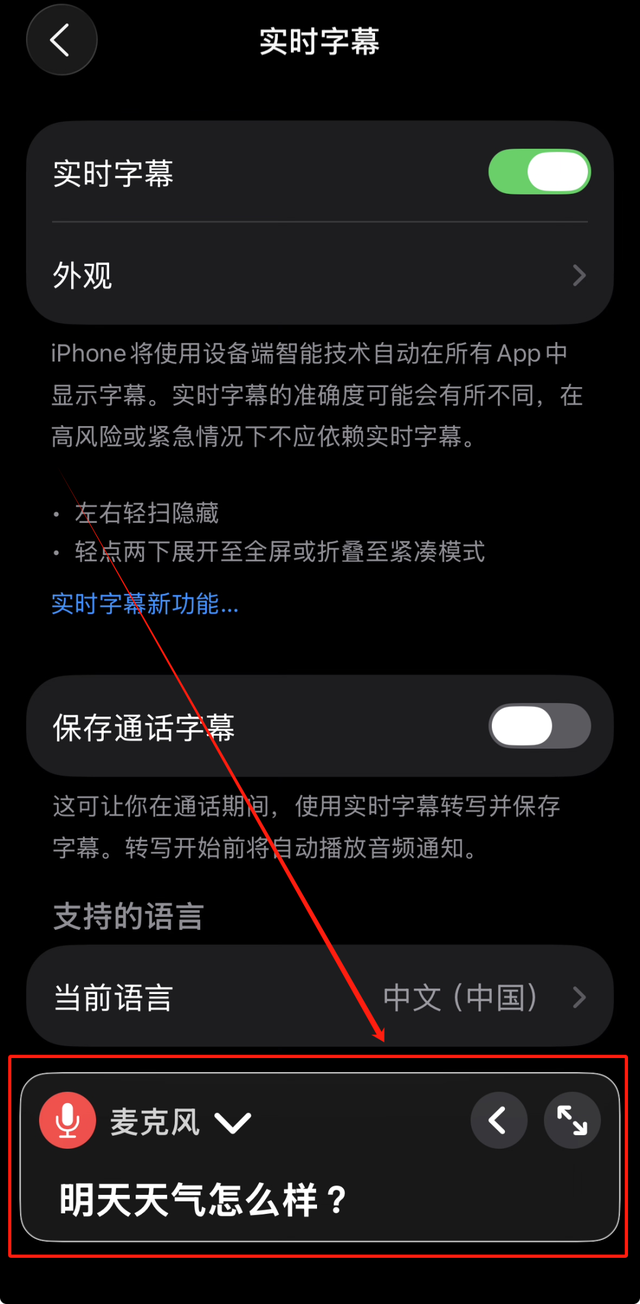 【苹果手机】最新功能，实时字幕，会议纪要的救星！