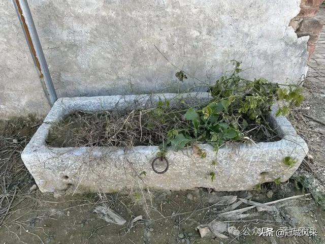 冠县乡韵·贾镇岑庄