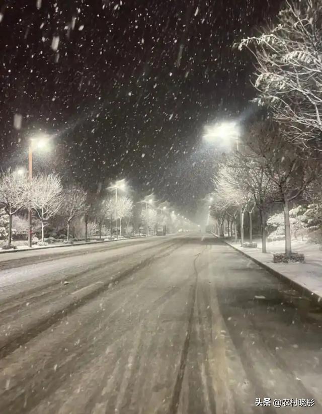 明日小雪！老话“小雪不下雪，大雪满天飞”，冷冬暖冬？答案来了