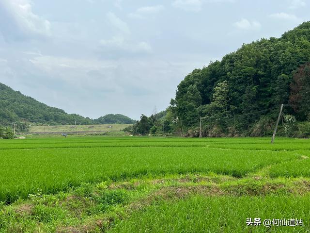 抚州临川王安石故里