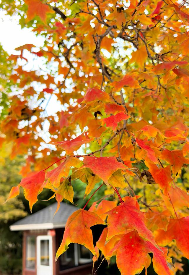 浞景无边，快乐亦无边~