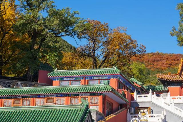 收藏一个秋天，石景山绝美秋色大公开