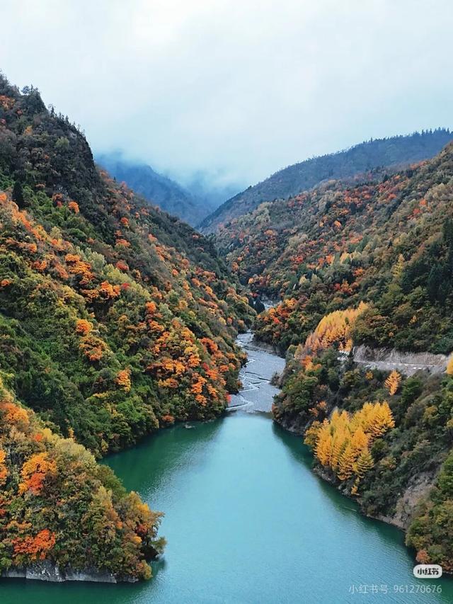 正式通车！全线免费！新挖赏秋天花板小城，绝美彩林不输九寨！地道美食50元吃爽！