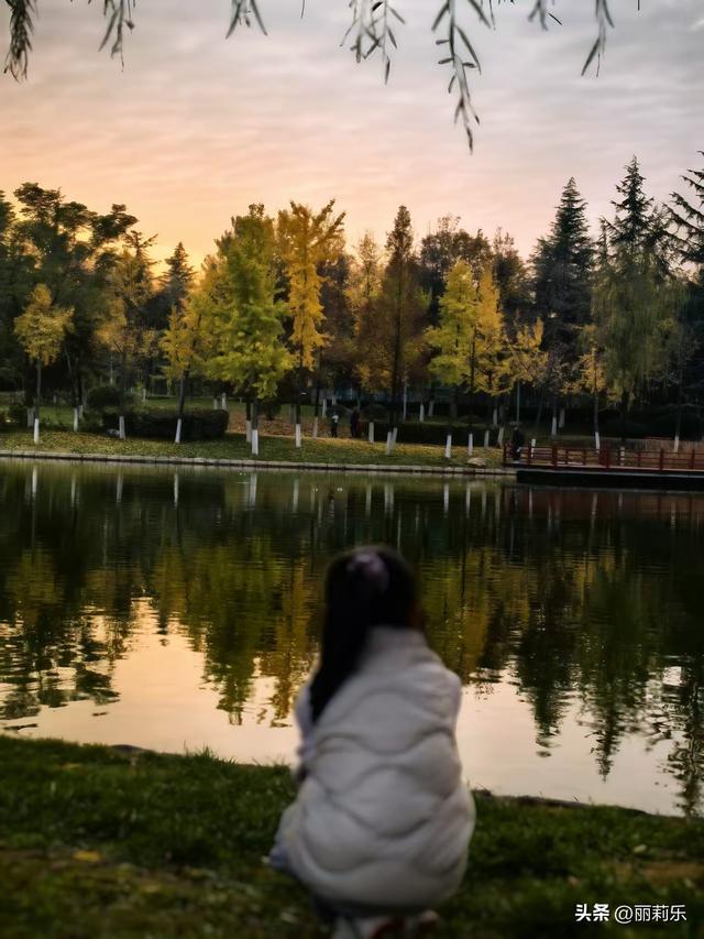 被这片银杏林狠狠治愈后，我才明白：原来幸福藏在这些瞬间里