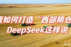 新疆如何打造“西部粮仓”？DeepSeek这样说图片