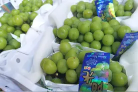 价格暴跌！从100多元一斤跌到个位数，正大量上市图片