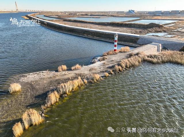 郑庄子渡口：海河北岸到葛沽采购经此渡，村镇拆迁后结束运营