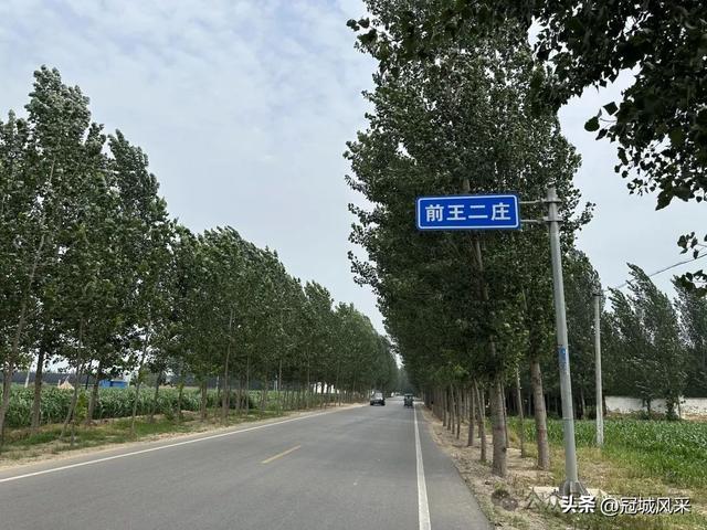 冠县乡韵·甘官屯镇太平庄