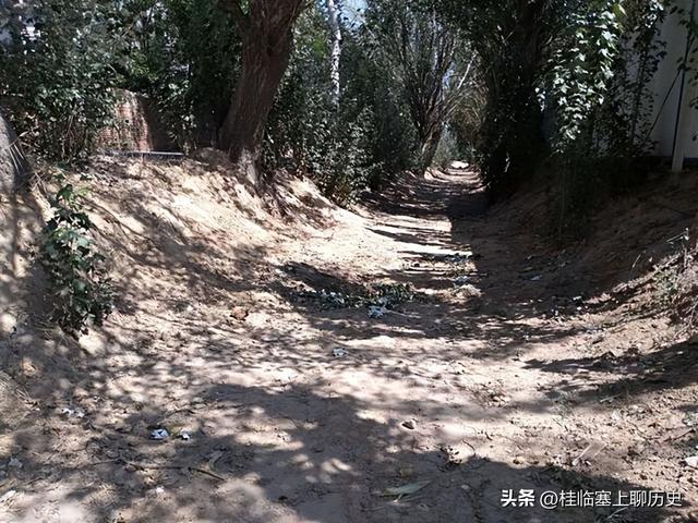 宁夏人文：银川红花渠传奇2，半城风光看残渠，谁还记得旧模样？