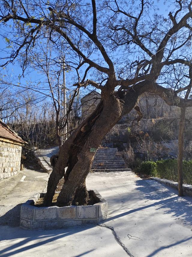 探访淄川滴水泉马棚黑峪村