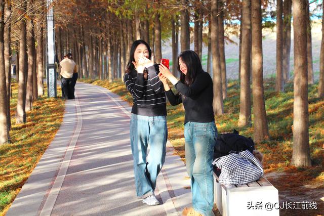 河南淮滨：落羽杉红了，美女们来啦！