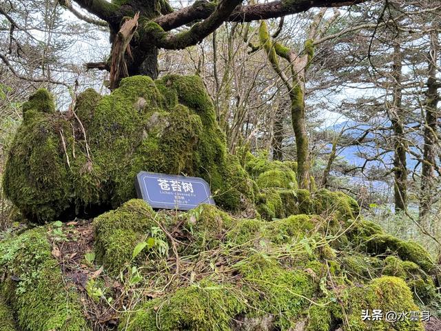 北京自驾长江三峡、神农架之旅（6）