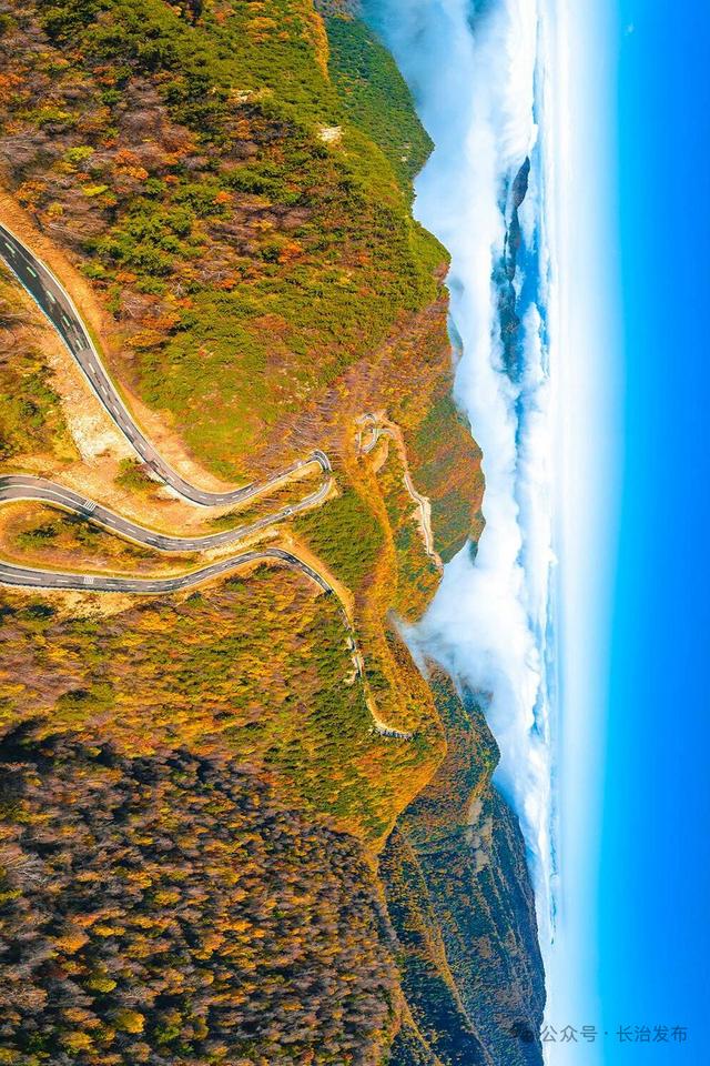 寻色三晋·山河入画｜太行一号旅游公路：在红叶云海间，驶入秋日的山水长卷