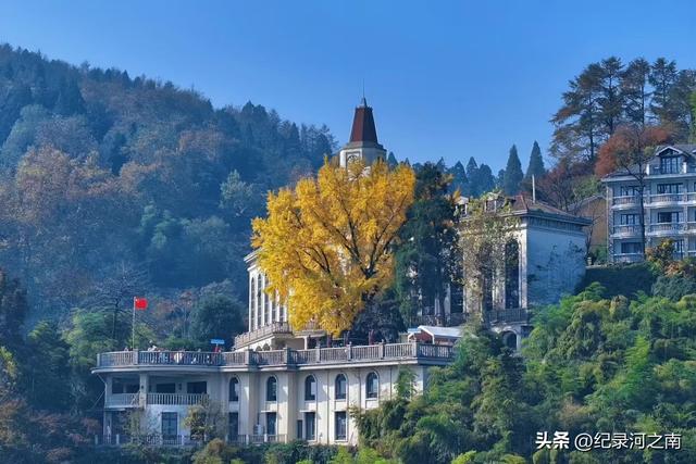 莫干山的秋色是美丽的但千想万想没想到人生第一次拉胯徒步竟在此