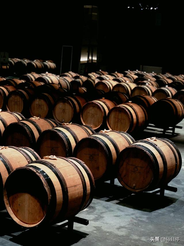 今年去过最喜欢的海滨城市烟台,这份4天3夜懒人玩法记得提前收藏