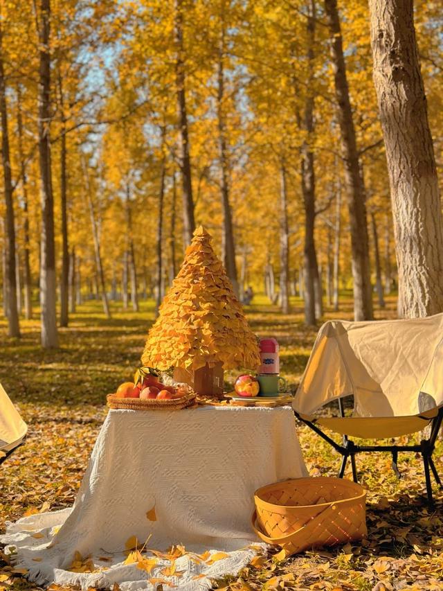 西安周末游丨这8个免费赏银杏叶好去处