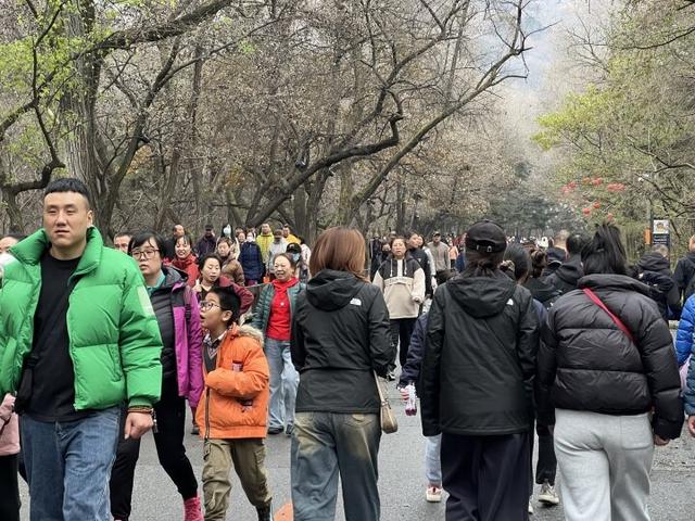 双休日全约满！千山圈粉众多鞍山游客