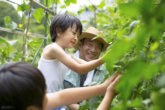 62岁，存款达到了15万后，我决定不打工了，回农村养老
