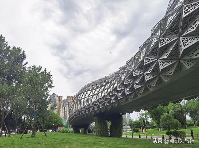 成都市内超级大草坪，美得让人惊叹，是摄影者的天堂，公交车直达