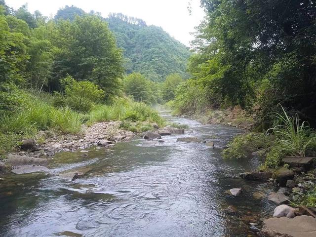 端阳喜伴小溪河，独有诗心迷远足——徒步小溪河散记（三）