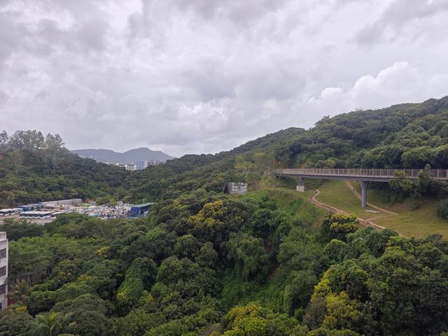 西丽湖国际科教城绿道高清随拍