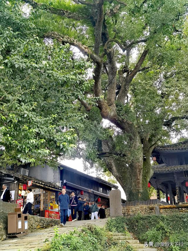 丽水古堰画乡景区没有想象中的那么优秀，去不去皆遗憾